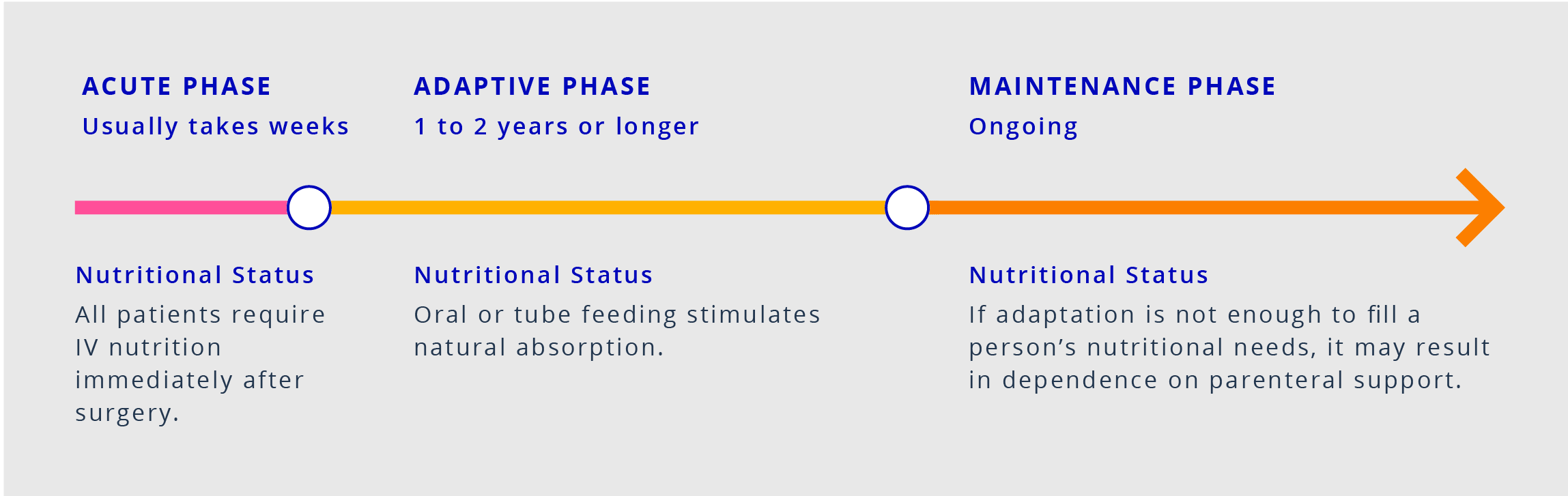 Intestinal Adaptation Timeline